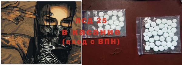 сатива Армянск