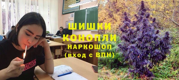 apvp Аркадак