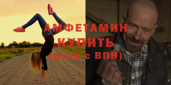 сатива Армянск