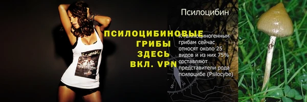 соль ск Арсеньев