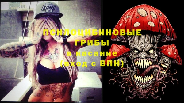 сатива Армянск